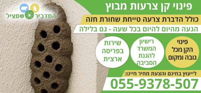 קן צרעות מבוץ