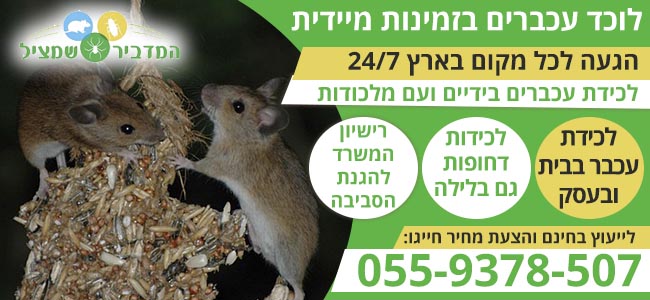 לוכד עכברים